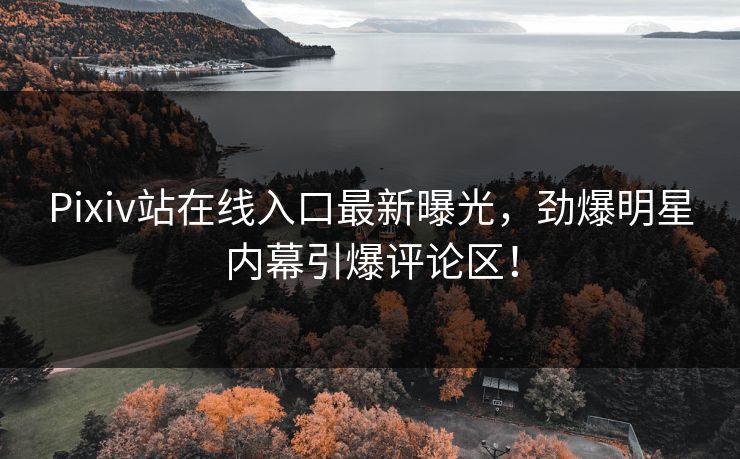 Pixiv站在线入口最新曝光，劲爆明星内幕引爆评论区！