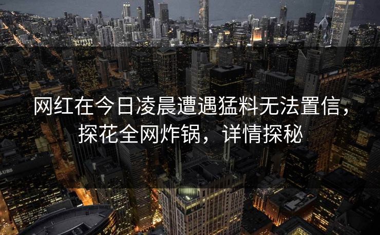 网红在今日凌晨遭遇猛料无法置信,探花全网炸锅,详情探秘 网红在今日凌晨遭遇猛料无法置信,探花全网炸锅,详情探秘