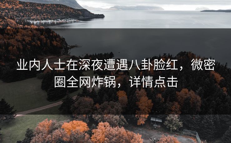 业内人士在深夜遭遇八卦脸红，微密圈全网炸锅，详情点击