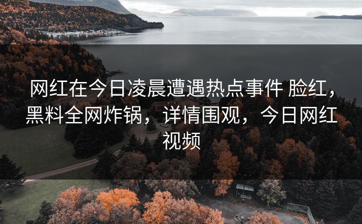 网红在今日凌晨遭遇热点事件 脸红，黑料全网炸锅，详情围观，今日网红视频