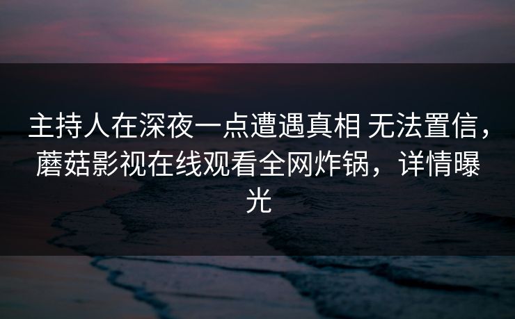主持人在深夜一点遭遇真相 无法置信，蘑菇影视在线观看全网炸锅，详情曝光